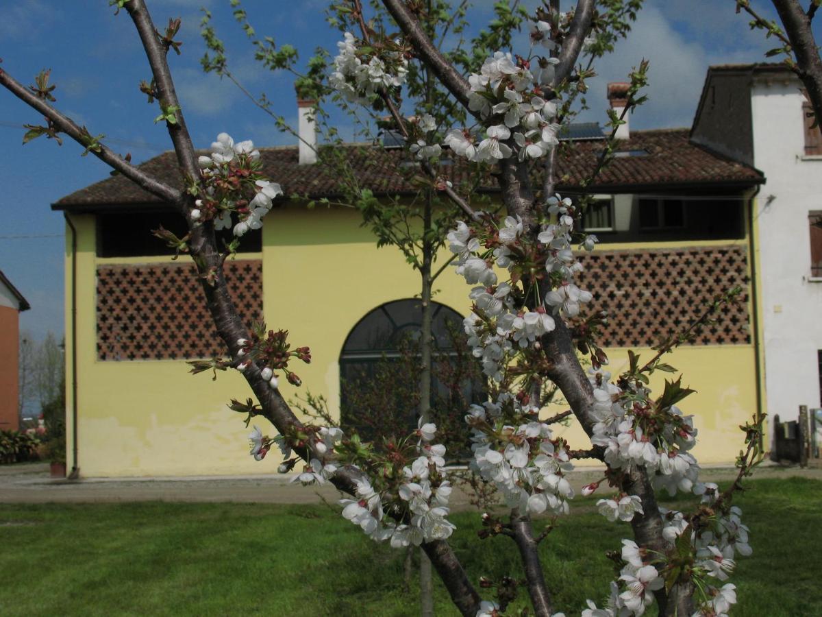 B&B Corte Cornalino Ровербелла Экстерьер фото